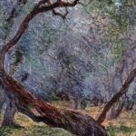 Study-Of-Olive-Trees