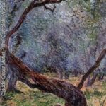 Study-Of-Olive-Trees