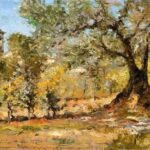 olive-trees-chase-435×333