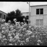 leprokomeia-athina-2