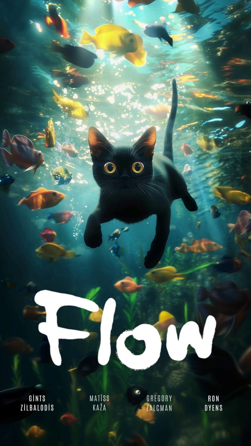 Ο μαύρος γάτος Flow.