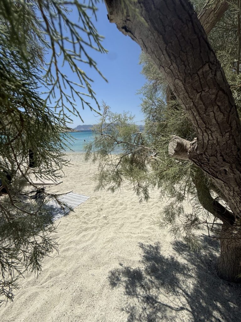 Έπαθα... Κίμωλο!! Vol 1