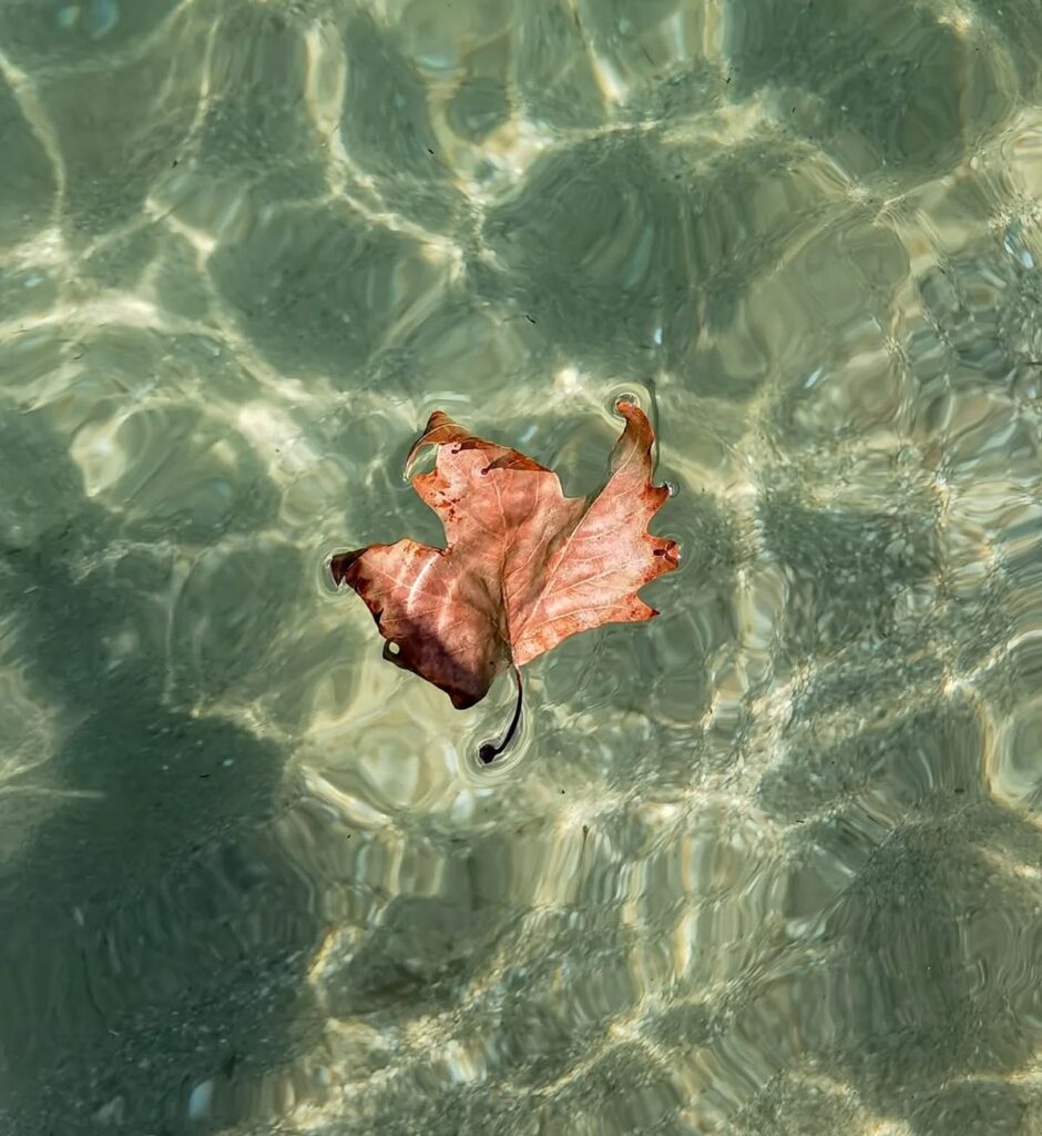 Η ανάγκη της νέας αρχής! / Πηγή: Pinterest.com