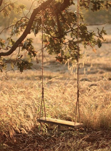 Αύγουστος, σταφύλια και σύκα / Πηγή: Pinterest.com