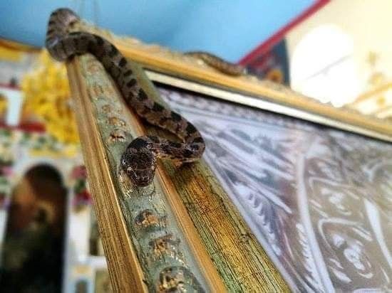 15 Αυγούστου στην Ελλάδα - της Παναγίας / Πηγή : Pinterest.com