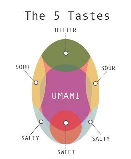 Umami: Η πέμπτη γεύση που δεν ήξερες ότι κυνηγάς σε κάθε μπουκιά
