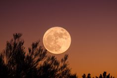 Αύγουστος, σταφύλια και σύκα / Πηγή: Pinterest.com