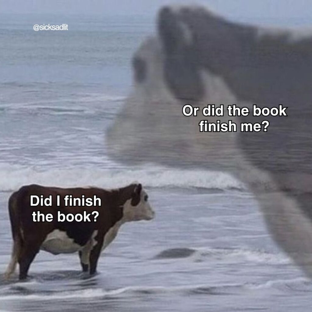 booktok meme